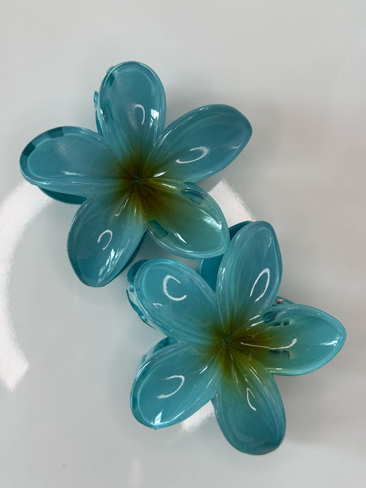 Velký květový skřipec Tirkisová 8 cm