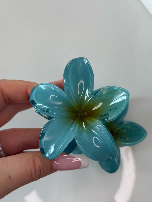 Velký květový skřipec Tirkisová 8 cm